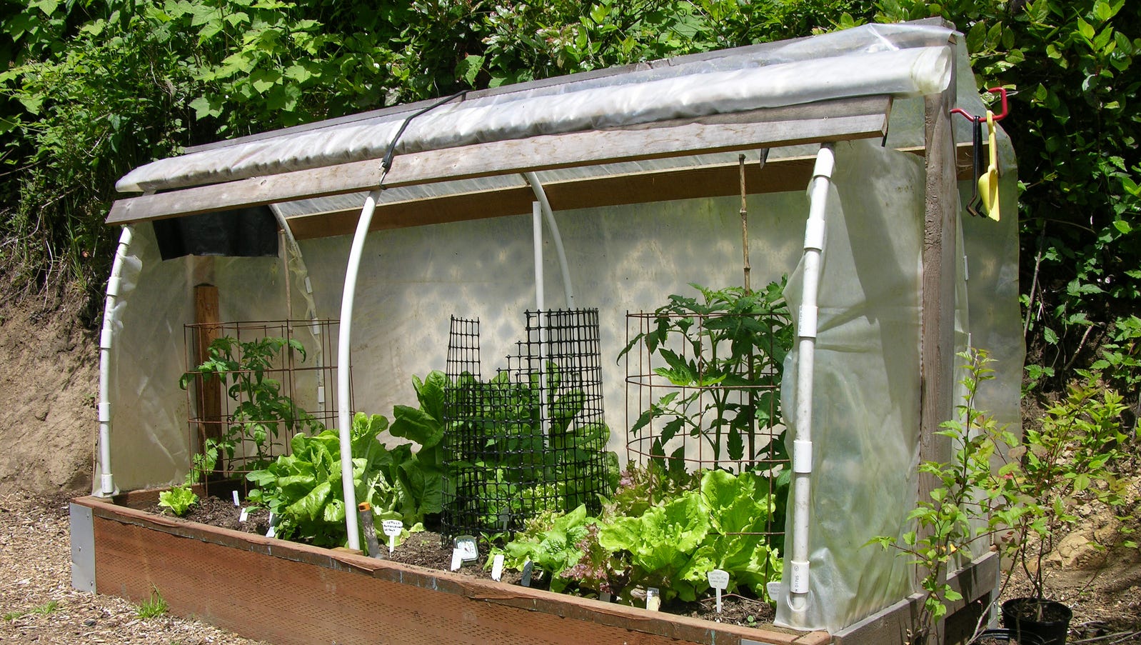 raised bed poly cover