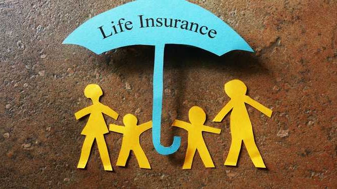 direct term life insurance