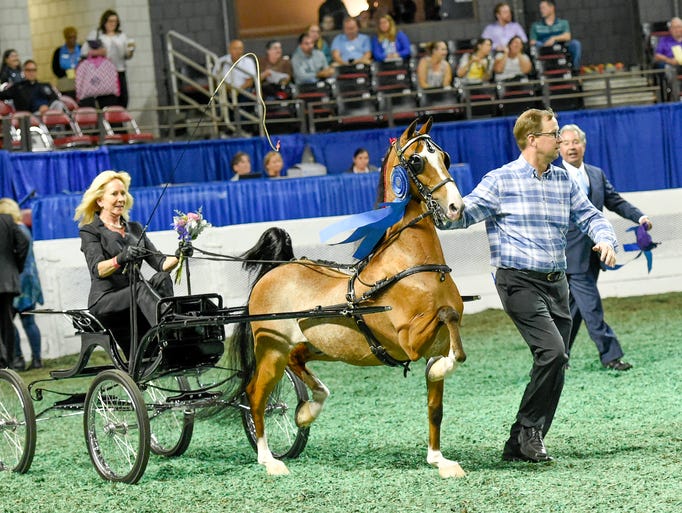 Kentucky State Fair's World Championship Horse Show