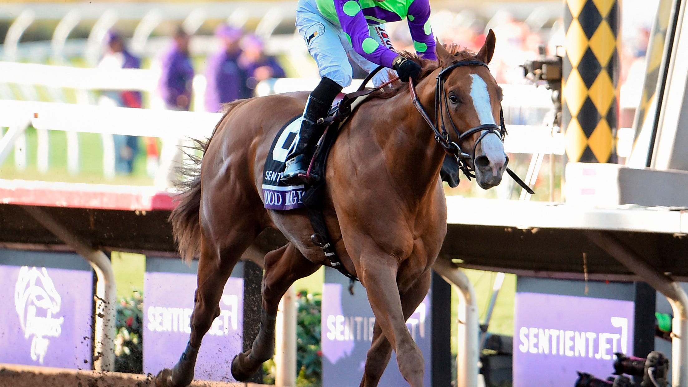 Kentucky Derby: Past Winners, Justify Takes 2018 Title