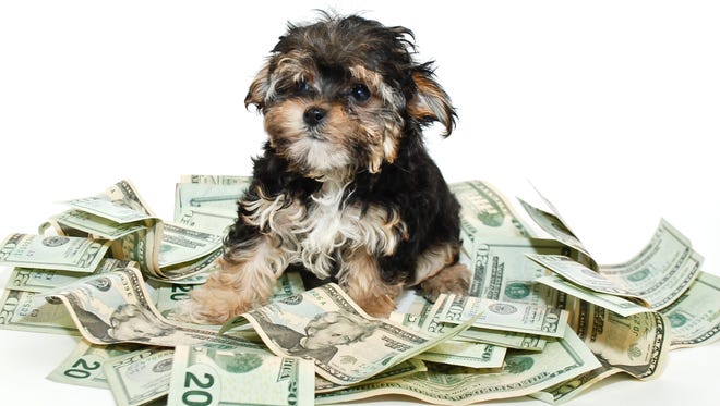 are dogs expensive to keep