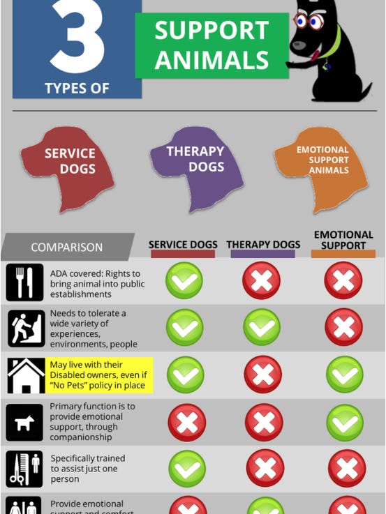 ADA Emotional Support Animal And Service Animal Guidelines (2022