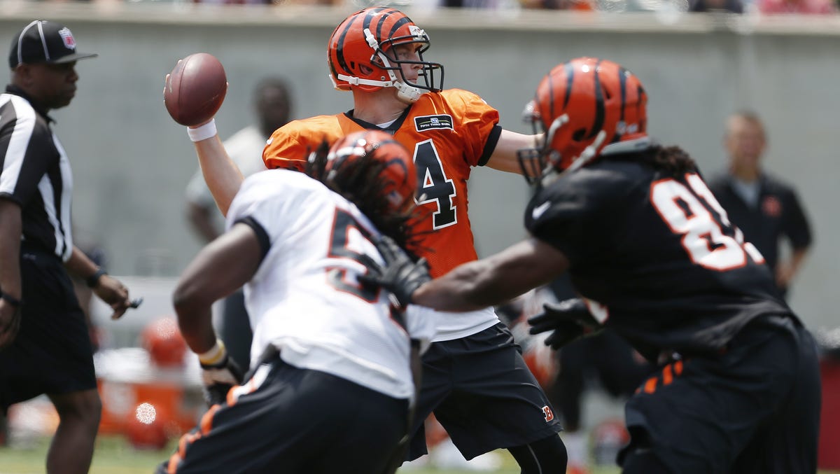 Bengals training camp Family Day