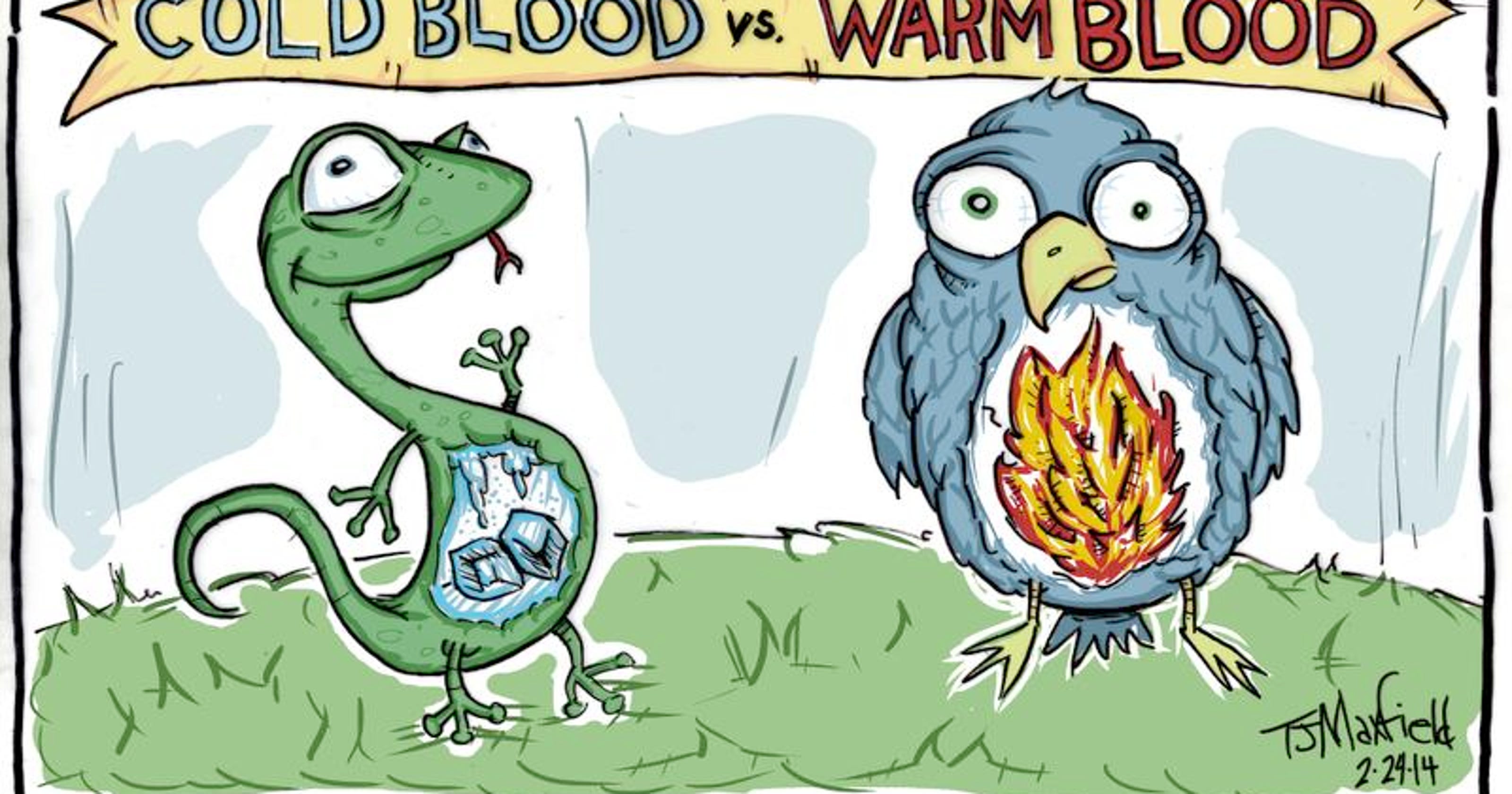 Kids Quiz: How are cold-blooded animals different from warm-blooded ones?