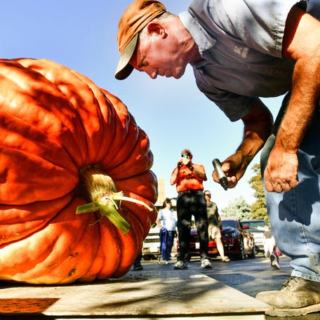 Jim Ackerman marks the largest of the pumpkins weighed at a past Morton Pumpkin Festival Pumpkin Weigh Off. The Morton Chamber of Commerce make an announcement July 7 regarding the status of this year's Pumpkin Festival, scheduled for Sept. 16-19.