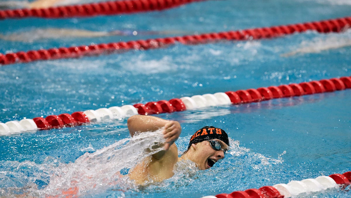 Photos PIAA District 3 swimming championships