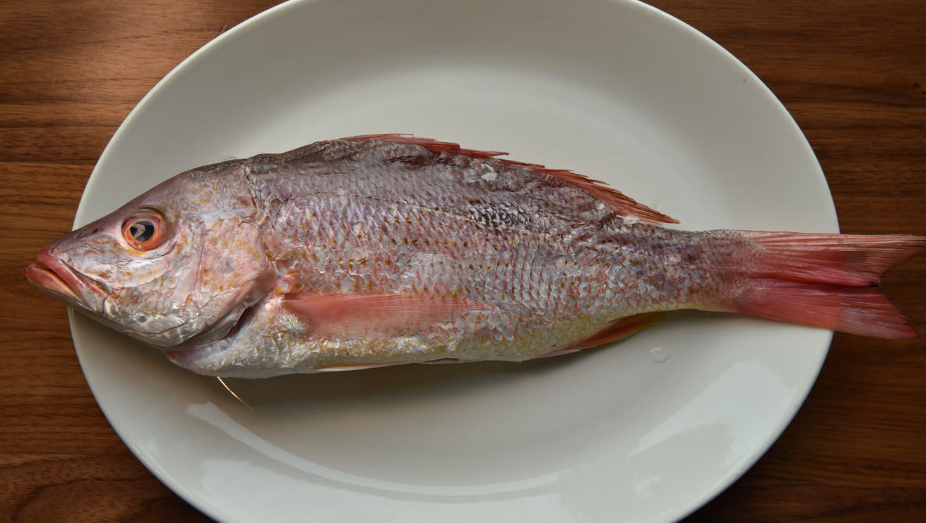 cooking red snapper