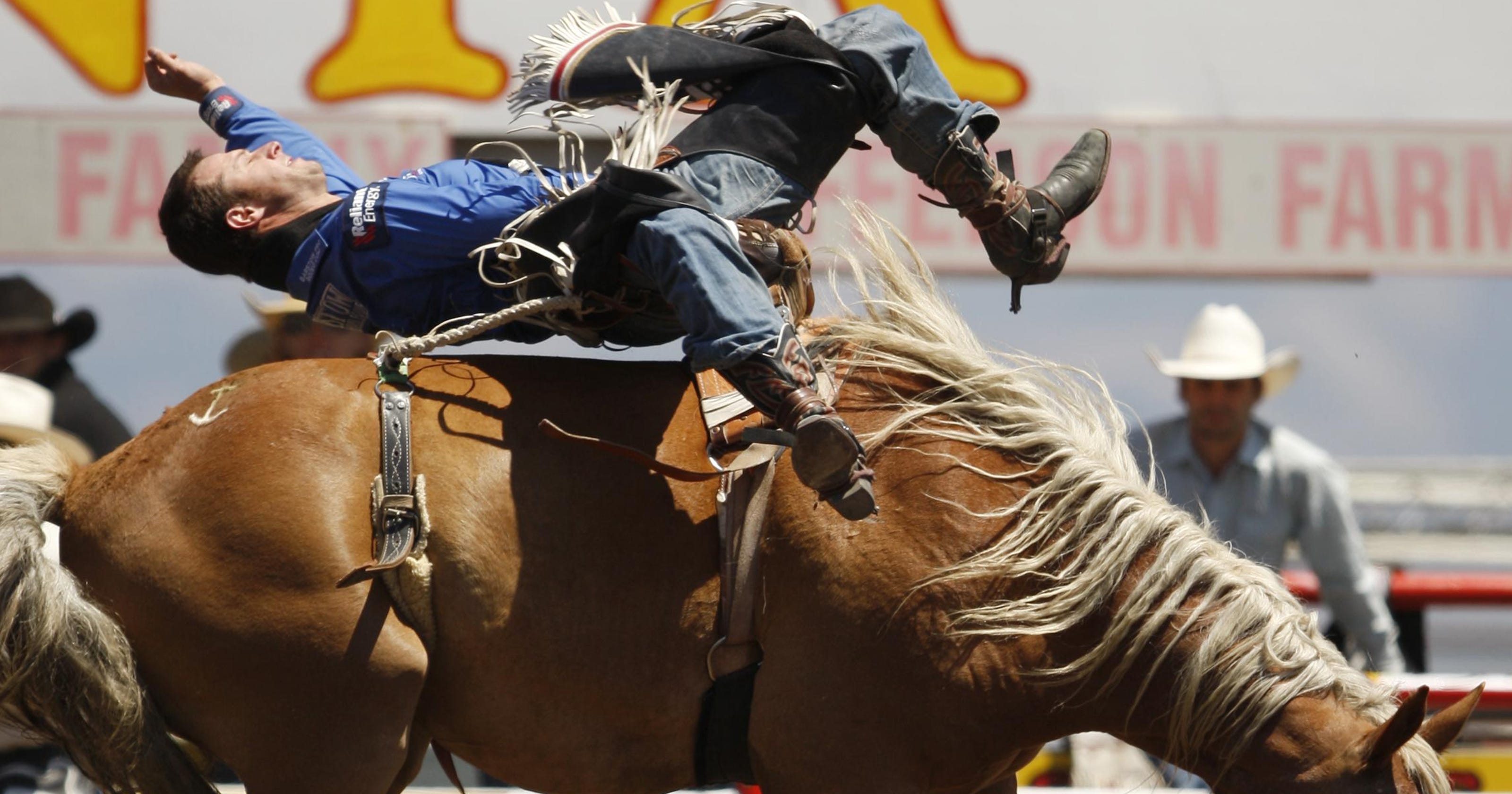 Salinas Rodeo lists daily themes, events