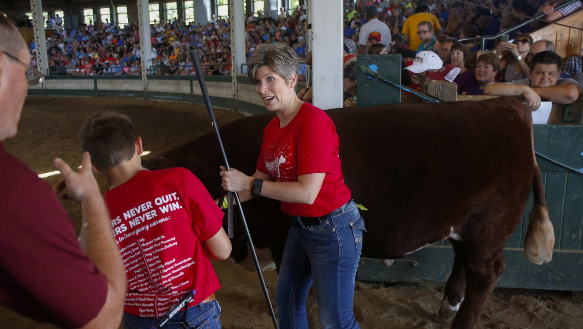 Photos Governor's Charity Steer Show at the Iowa State Fair