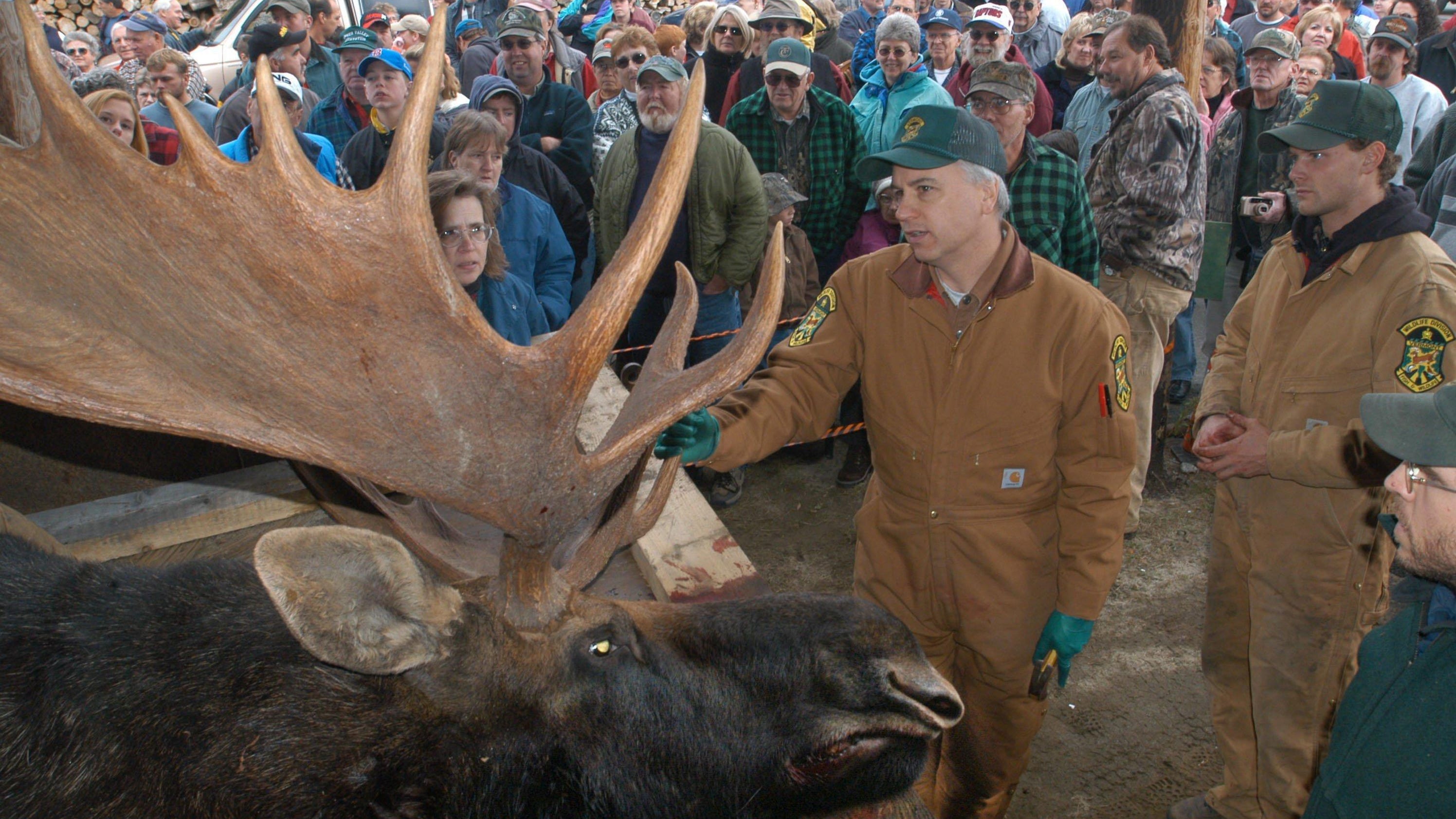 Moose hunting in Vermont strictly limited in 2018