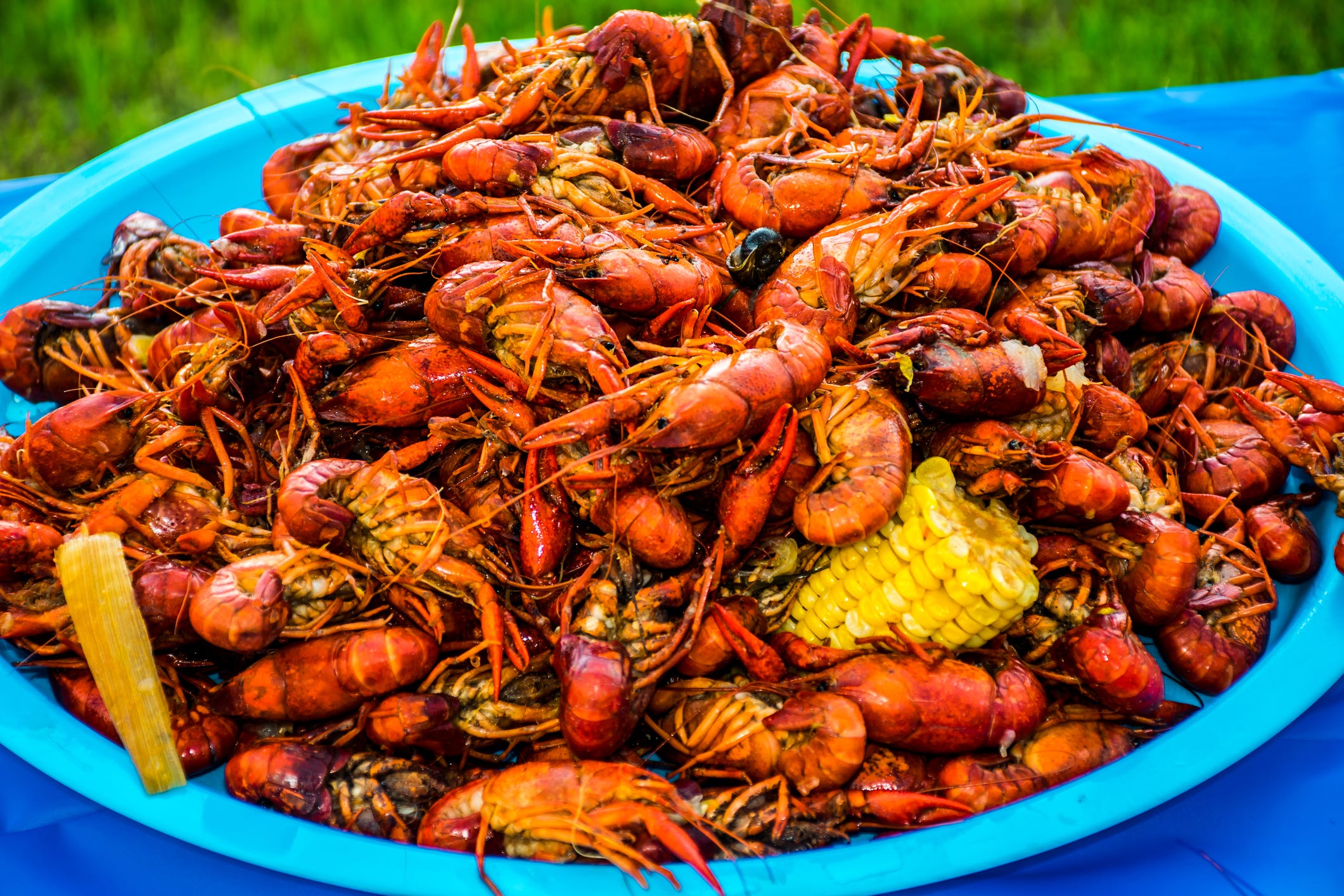 Lafayette%2C+Louisiana%3A+Giant+Crawfish+Invades+Downtown