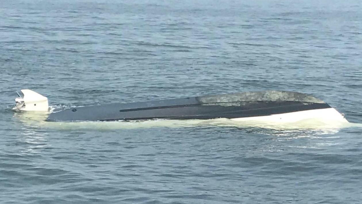 Capsized boaters 'Never saw the whale coming'