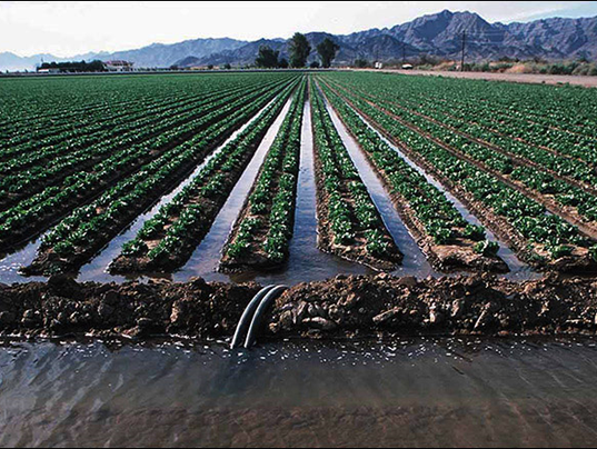 NMSU Media Productions Develops Outreach Materials On Water Management   636204658625028220 Irrigation 