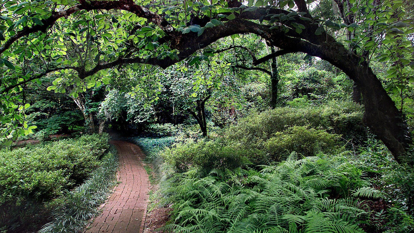 Take The Shady Path On Tallahassee Trails