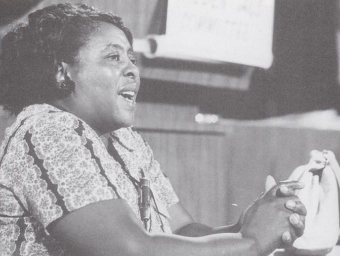 Fannie Lou Hamer, Champion Of Voting Rights: View