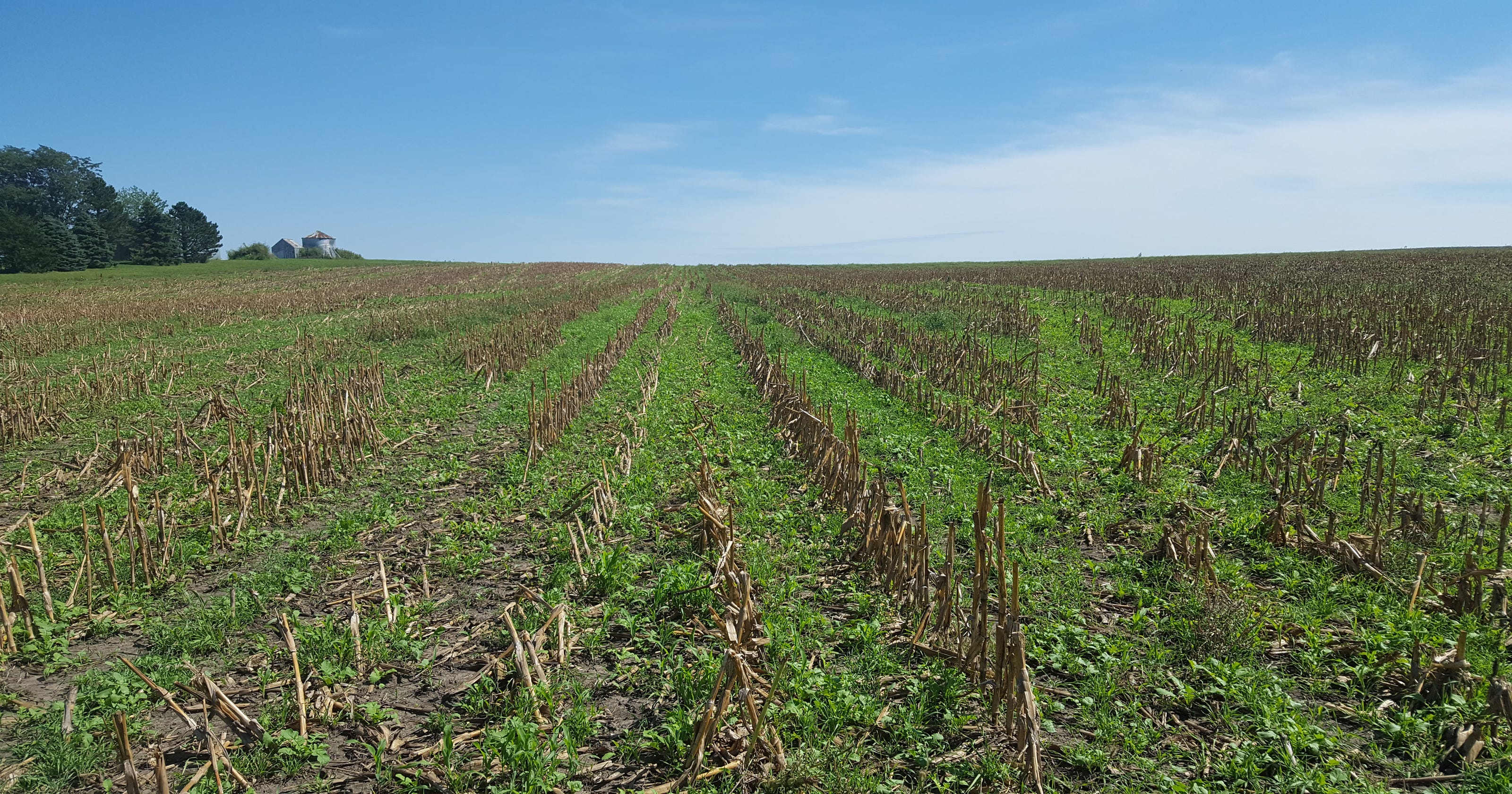 Crop insurance rules for cover crops prevent good farming