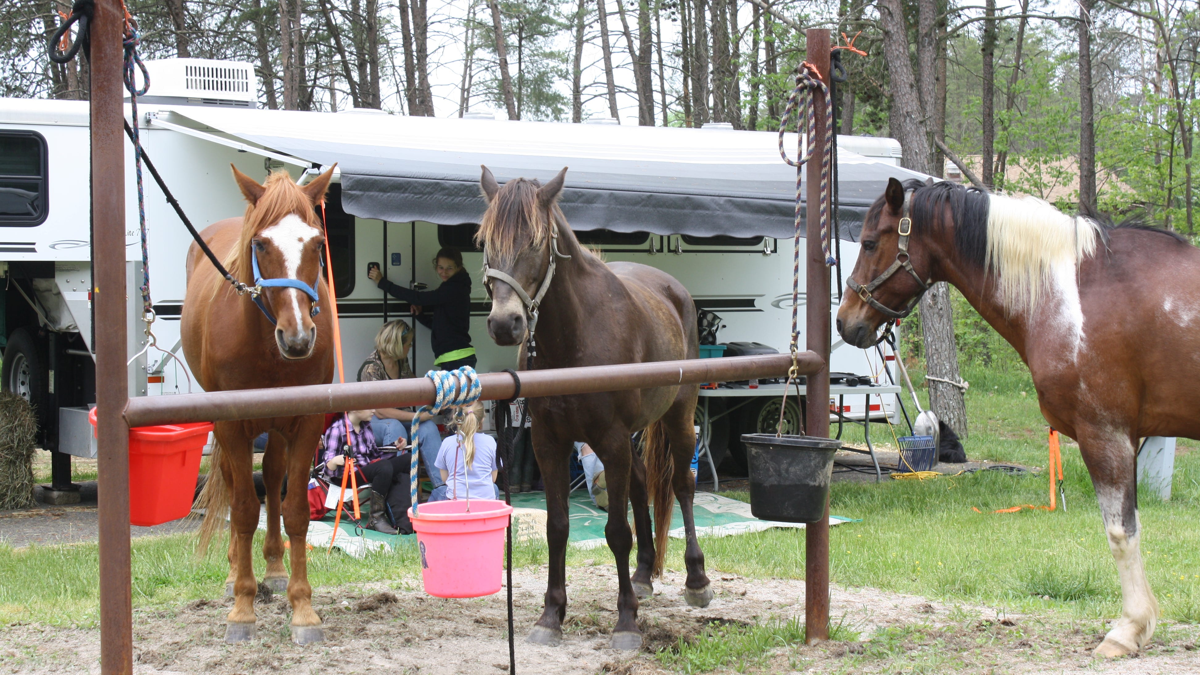 deam lake horse camp