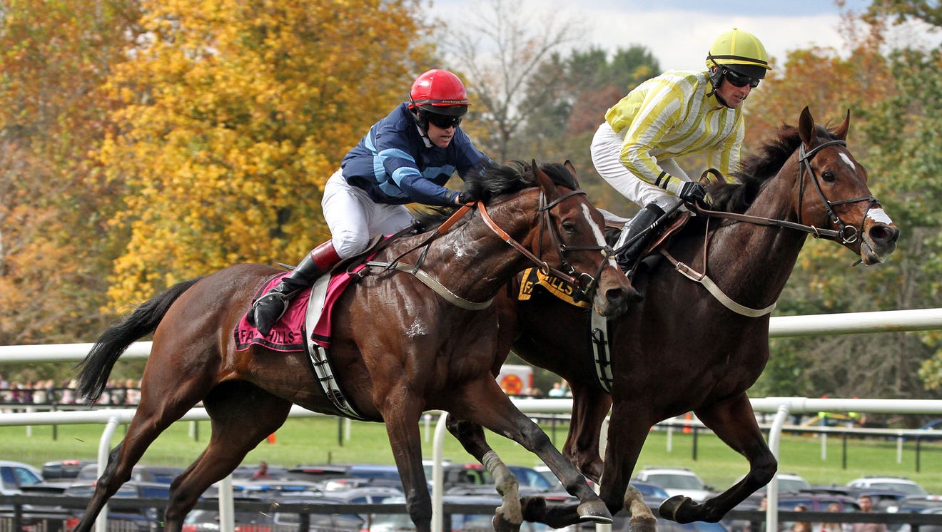'The hunt' in Far Hills 95th annual Steeplechase returns October 17