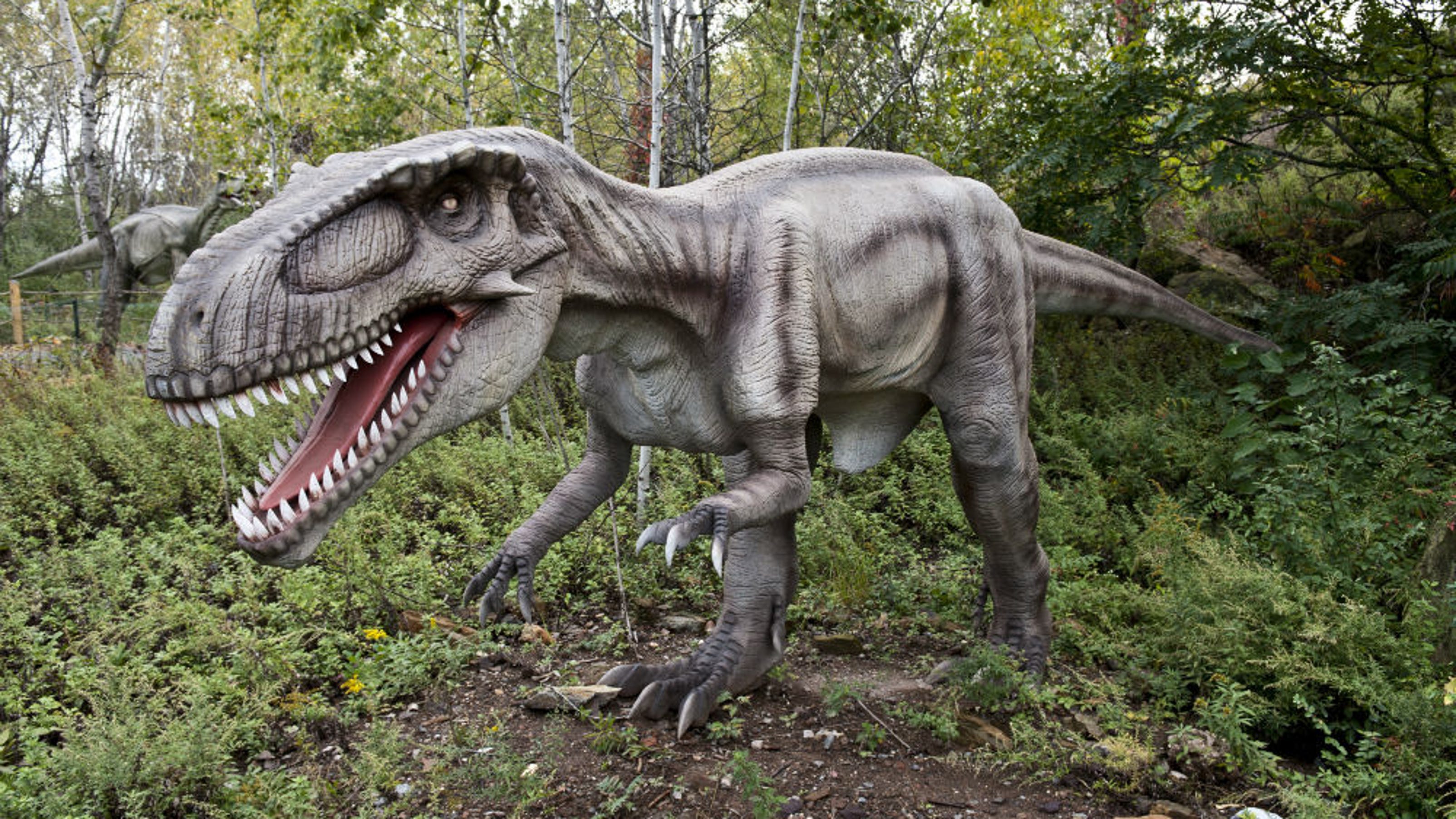 iowa-ames-heartland-dinosaur-museum-oppenheimer-economic-development ...