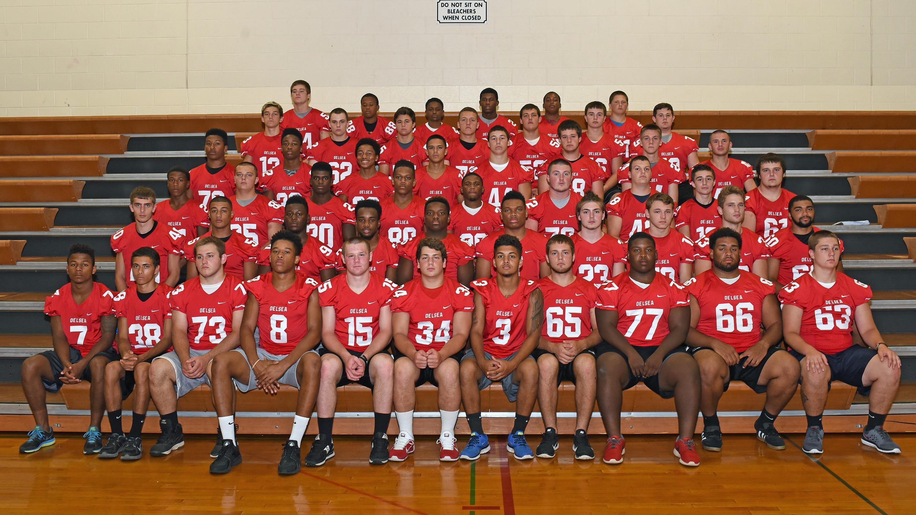 Delsea football preview