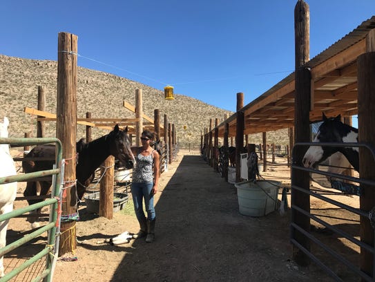 office paso el equipment used tx abused, sanctuary Growing helps horses abandoned