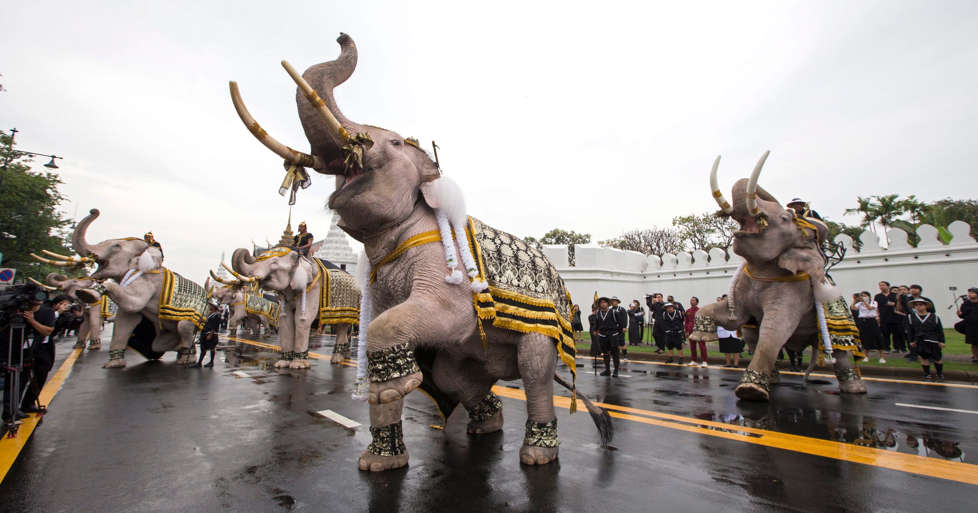 White elephants, mahouts pay respects to late Thai king