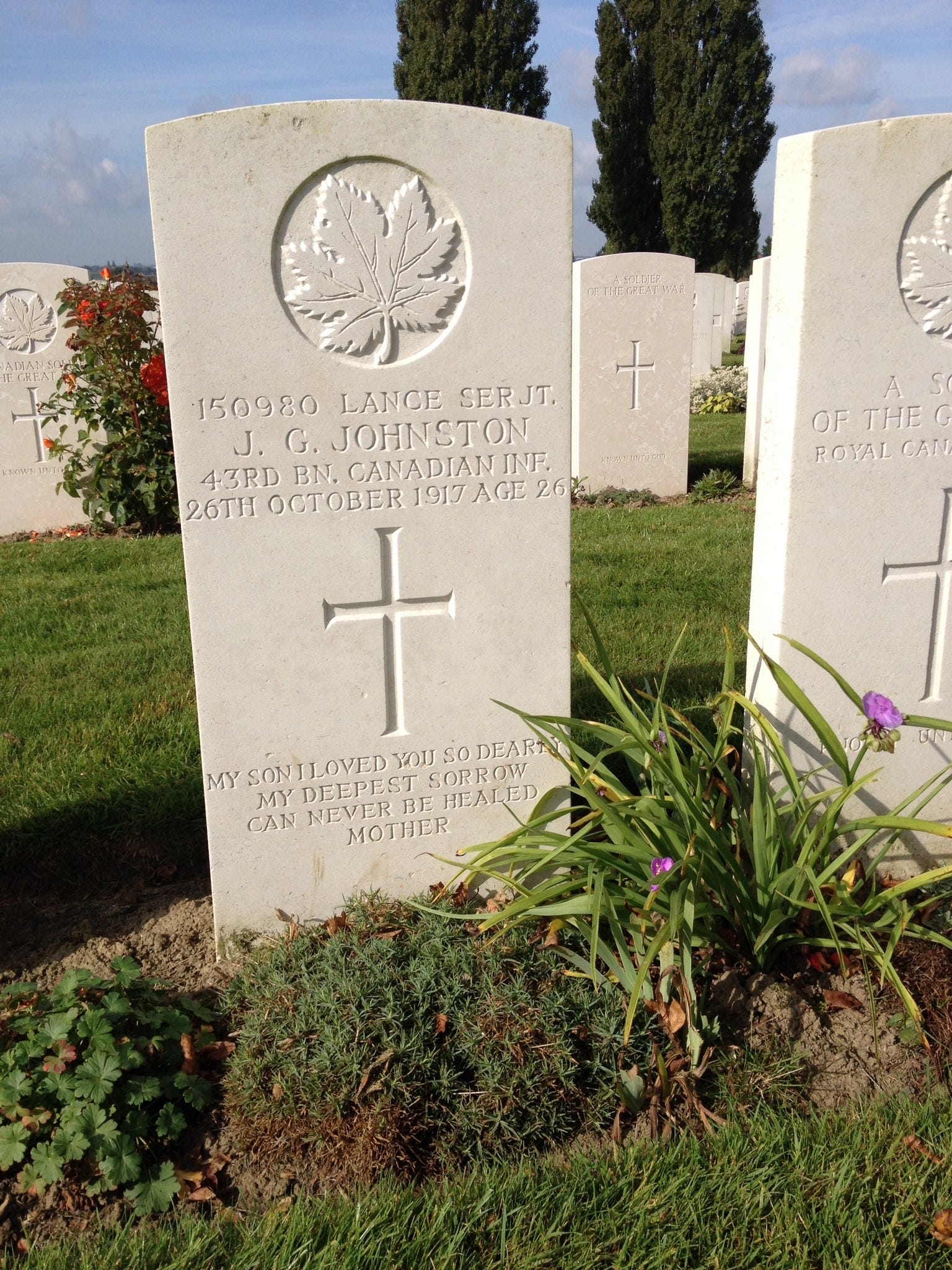 100 Years On A Great War Lives In A Field In Belgium   Belgiumheadstone 