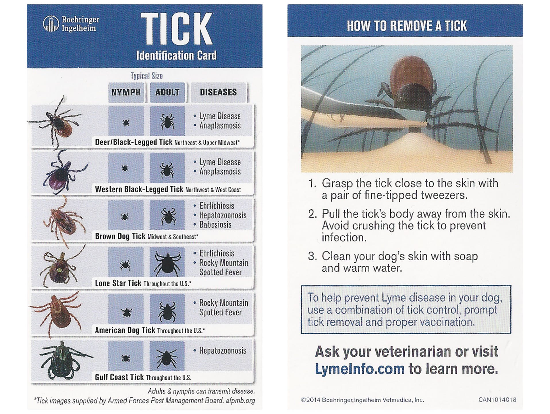 tick identification alabama