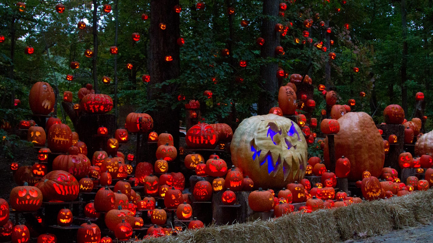 Jack O' Lantern Spectacular in Iroquois Park 'amazing'