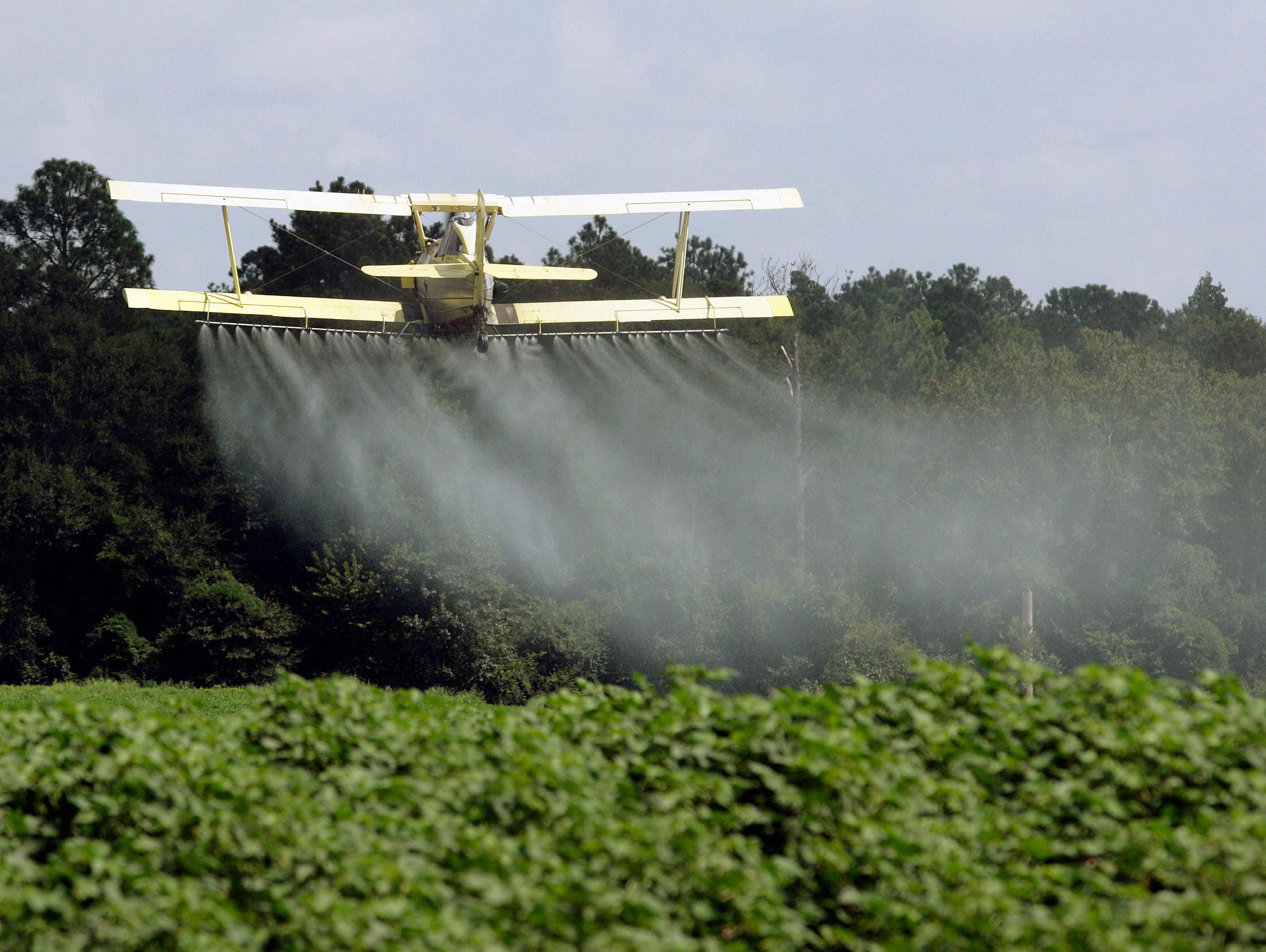 A crop duster sprays a field of crops just outside Headland, Ala., in 2009.