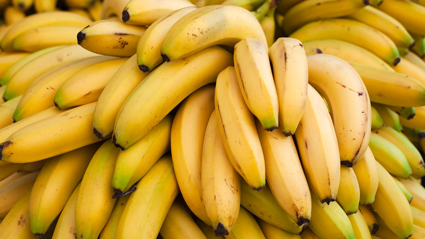 blue java bananas for sale