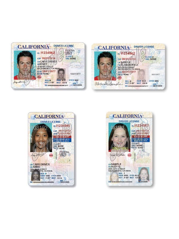 Immigrant driver's license law brings freedom