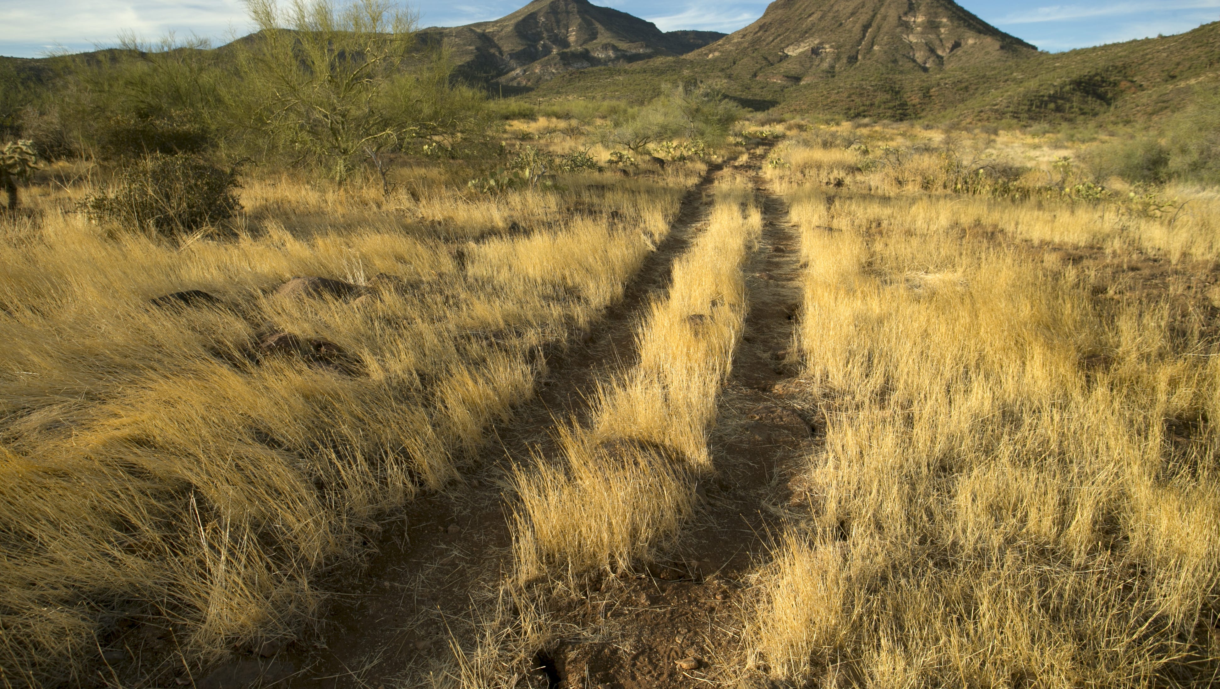 Spur Cross Trail Map Spur Cross Ranch: Where To Hike In Cave Creek, Az