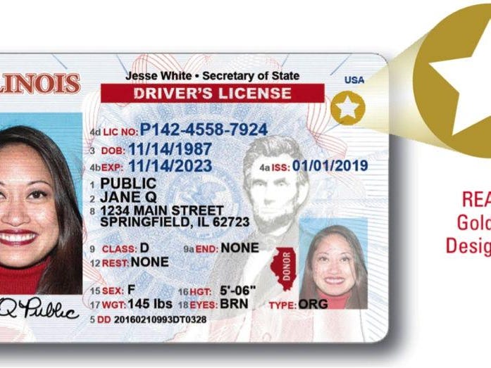 illinois drivers license check