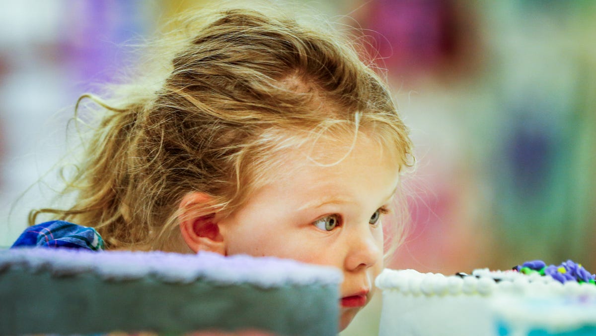 A day at the Hendricks County 4H Fair