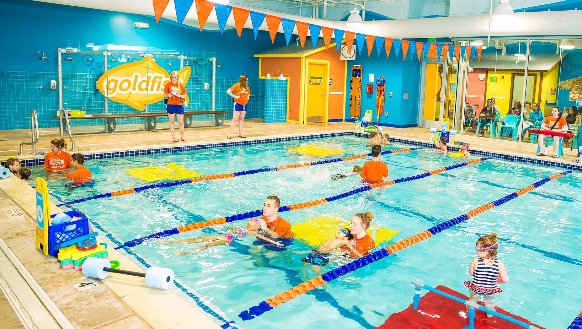 golden fish swimming school        
        <figure class=