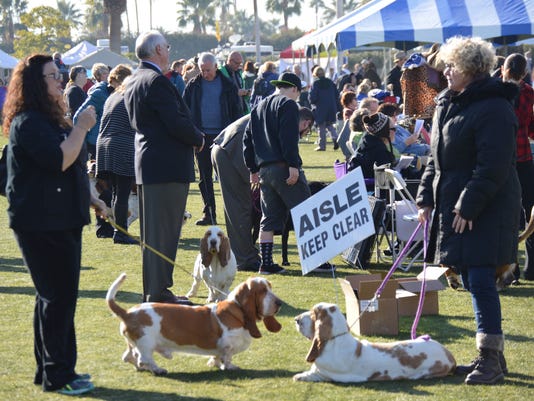 Thousands of dogs attend Palm Springs Kennel Club Dog Show