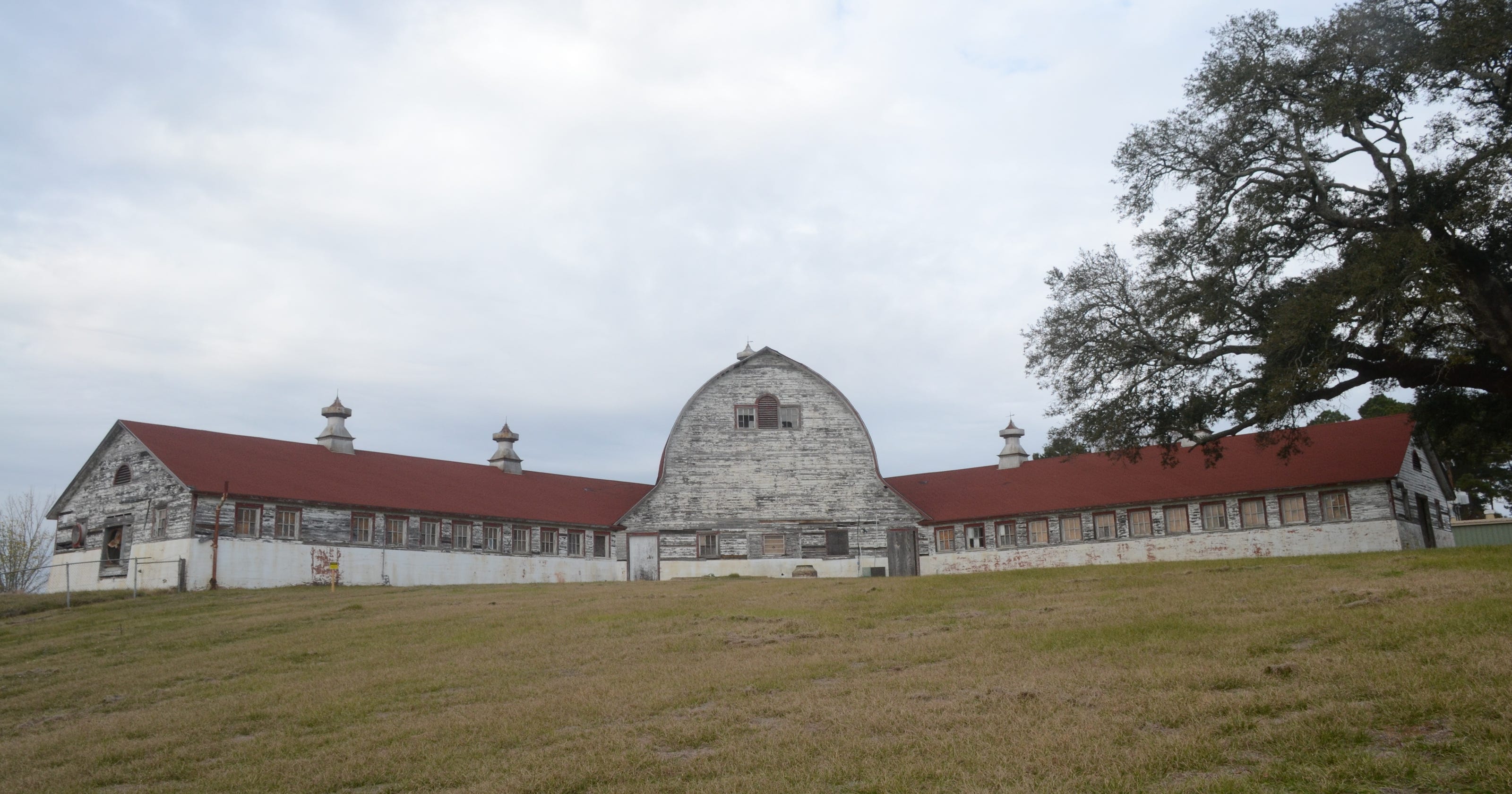 What Could Be Done With The Dairy Barn