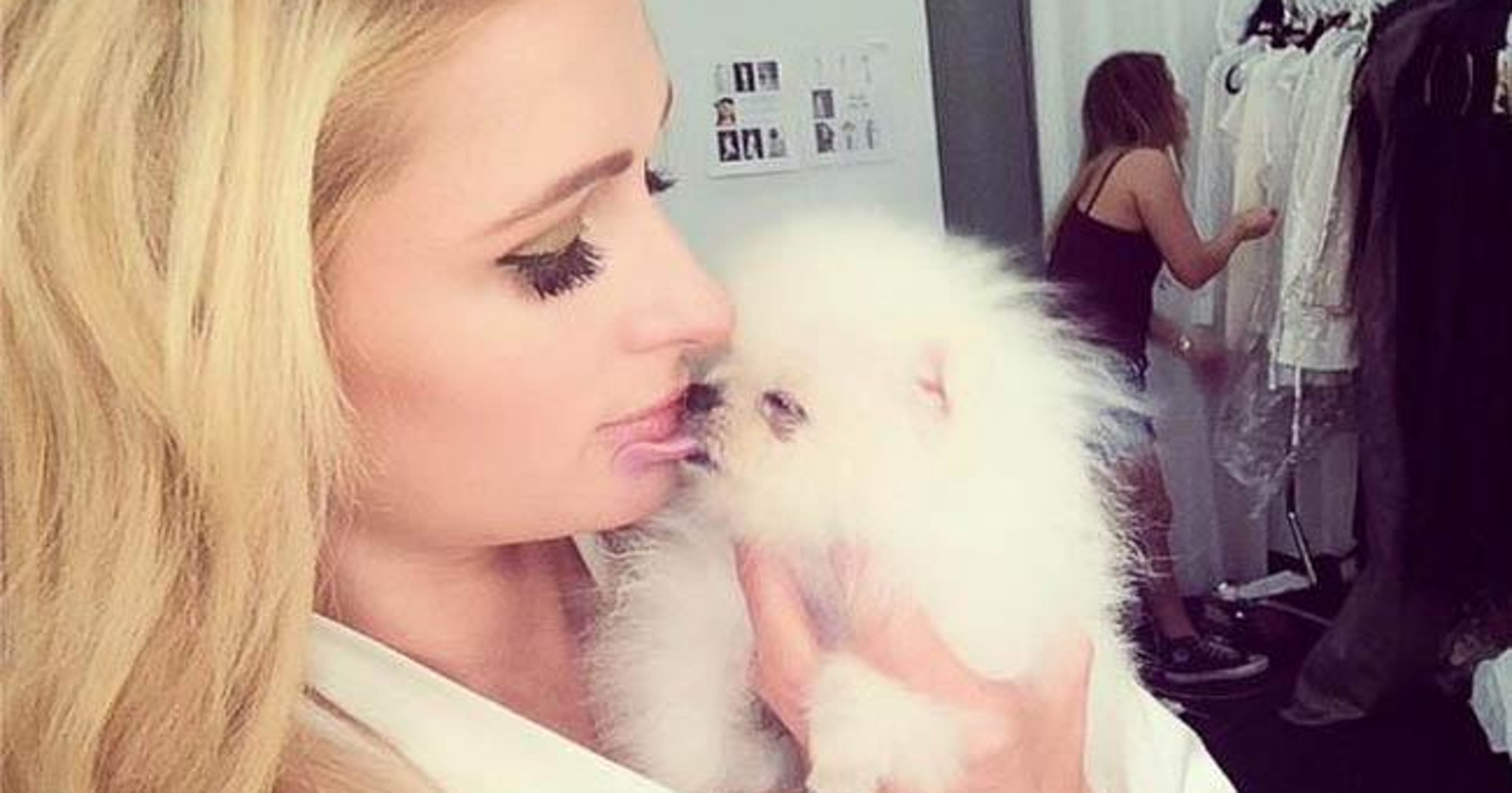 Paris Hilton's dog poses for first photoshoot