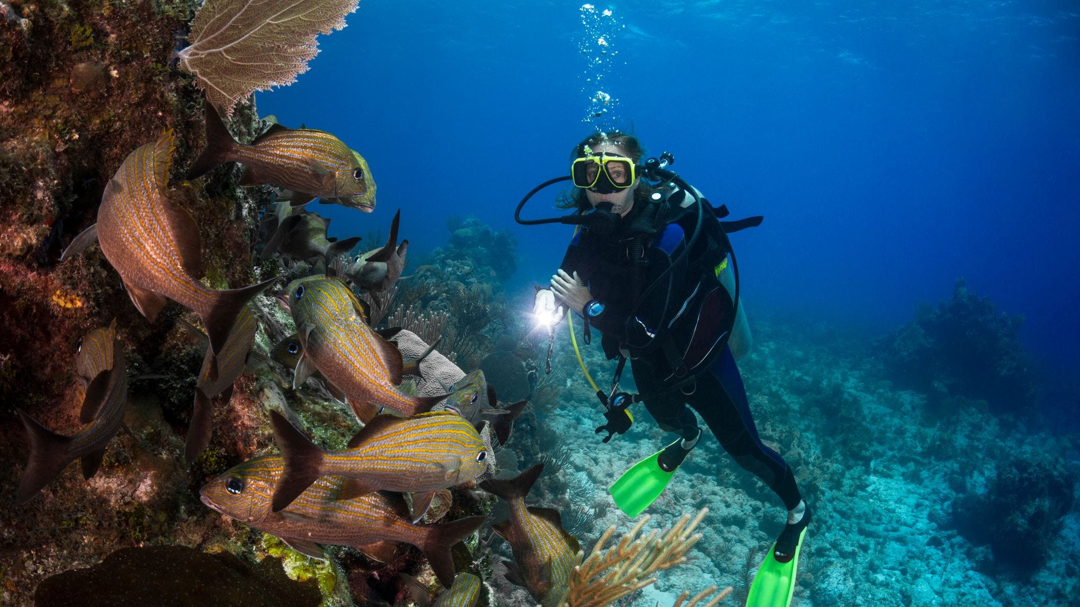 Best Caribbean Scuba Diving: Here Are The Top 10 Dive Sites