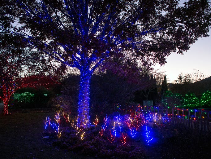 Asheville's NC Arboretum festive lights display opens Nov. 22