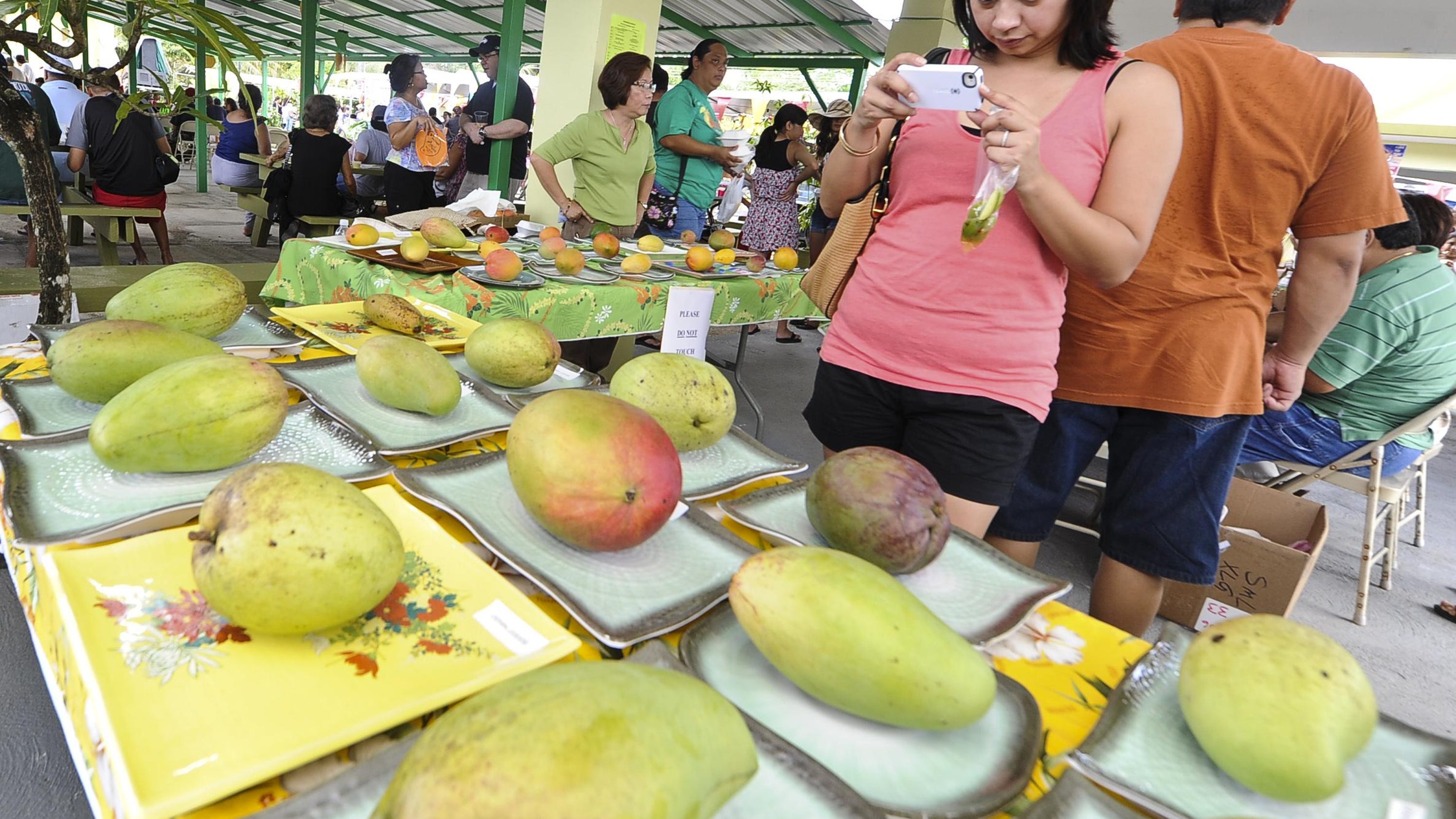 Agat Mango Festival 2018 schedule