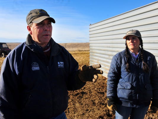 Infrared Cameras In Montana Calving Barns Tired Ranchers Go High Tech