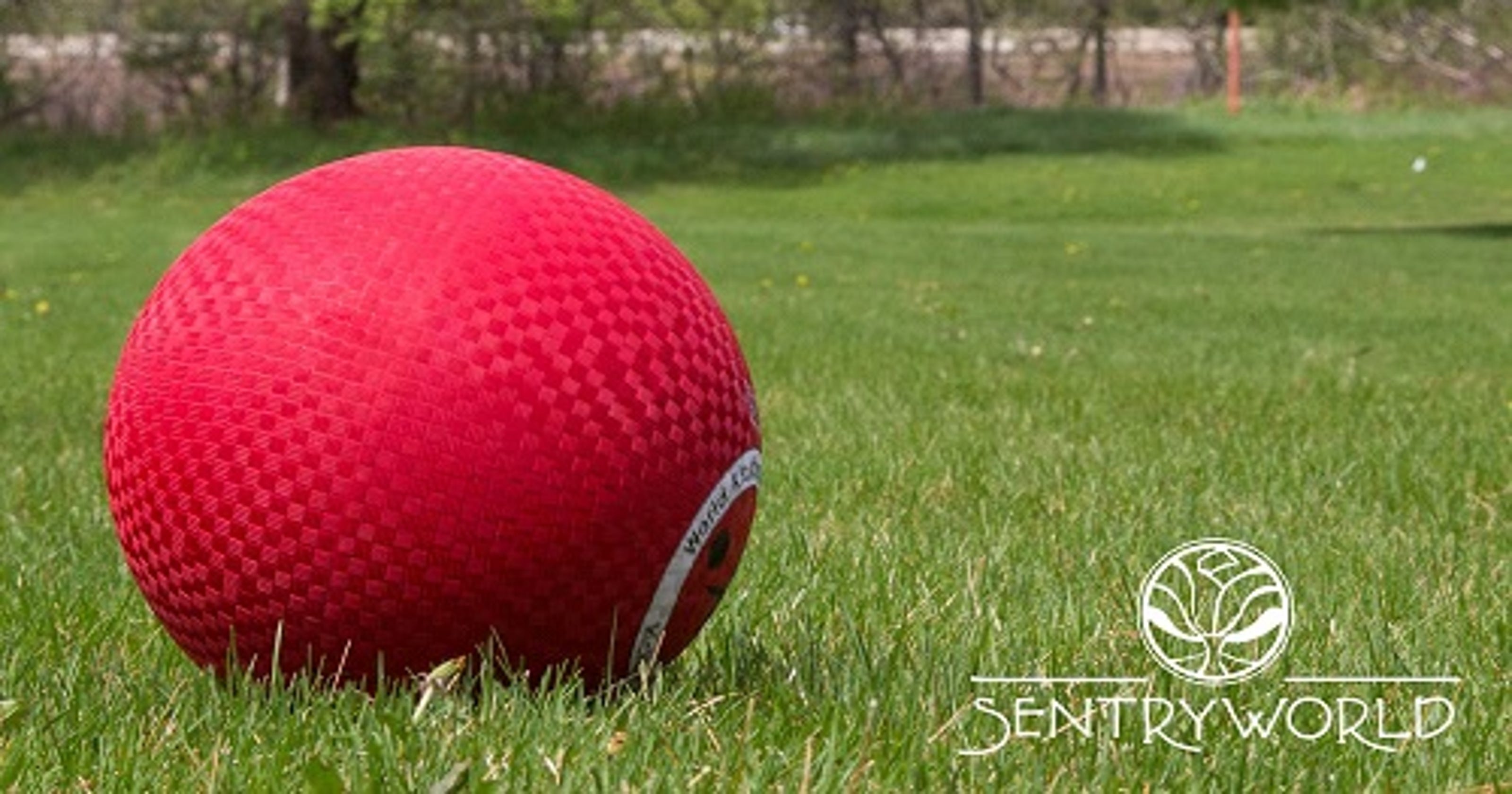 SentryWorld offering kickball, volleyball