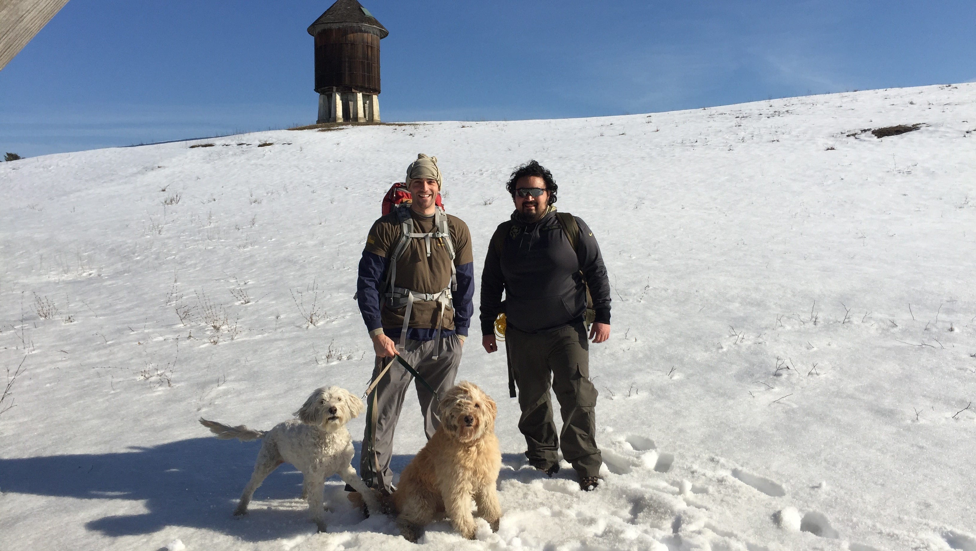 can dogs do the appalachian trail