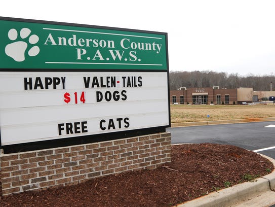 Anderson animal shelter has 'Valentails' adoption promotion