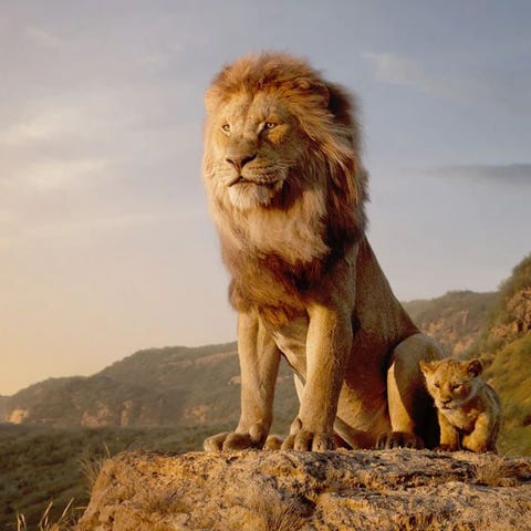 A visual of Mufasa and Simba from The Lion King