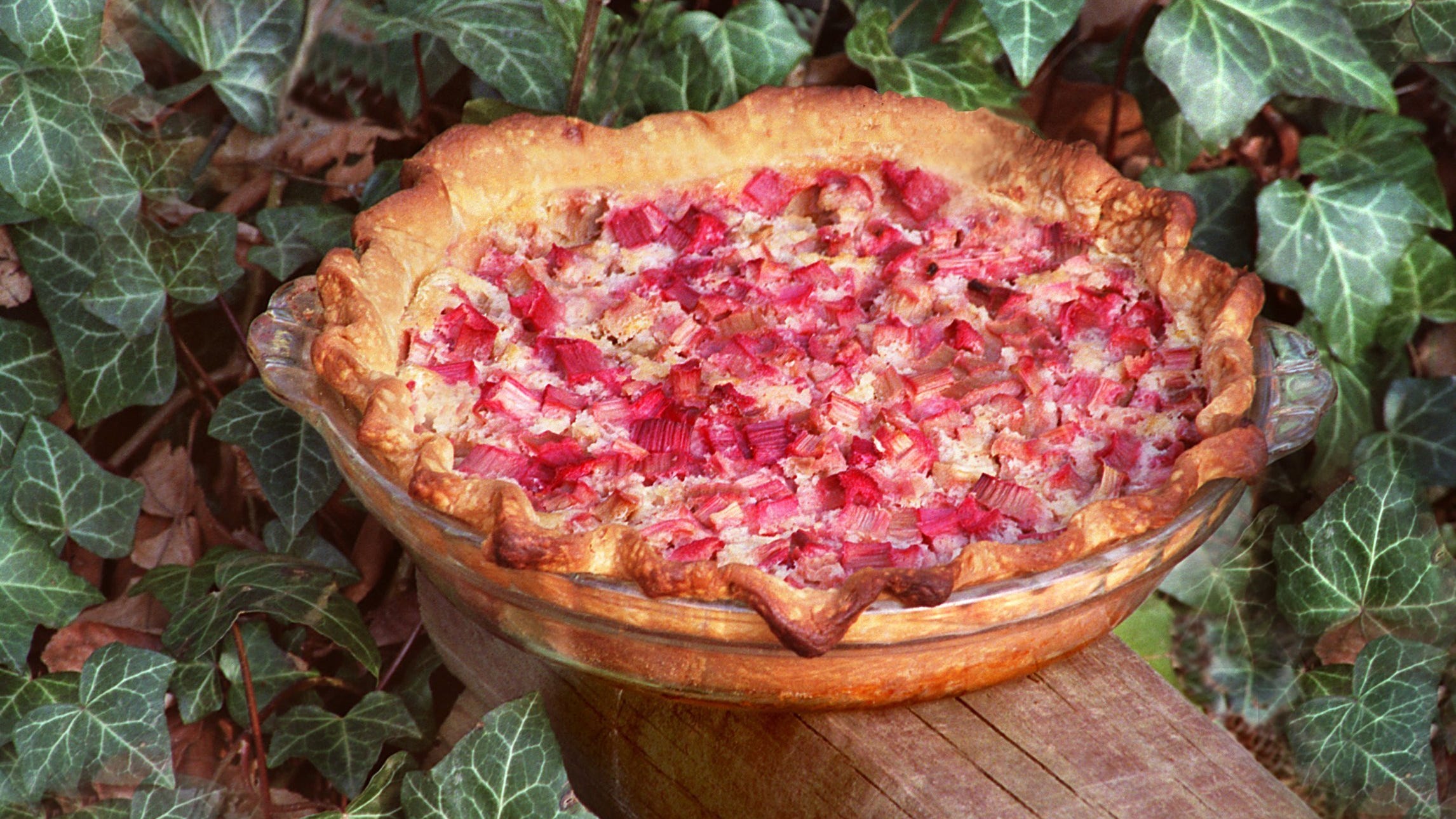 Rhubarb Custard Pie Is Favorite With Many Families   Rhubarbcustardpie 