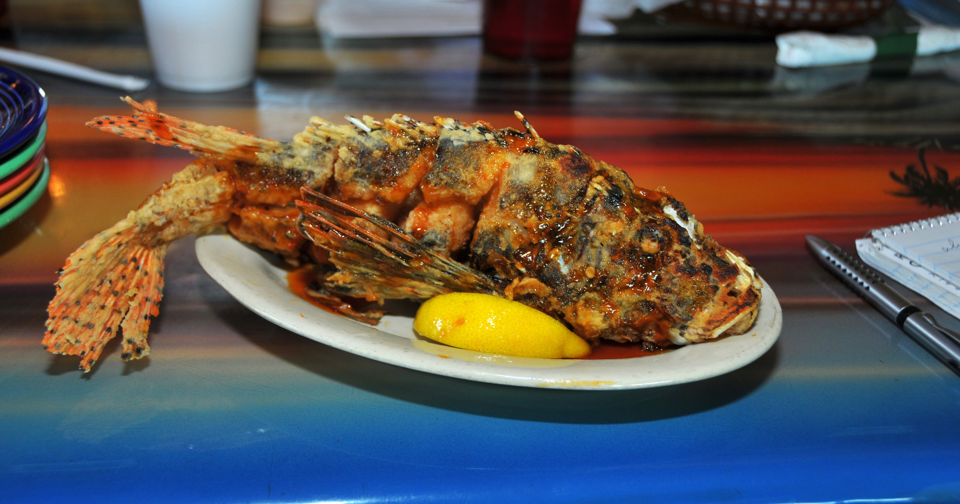 Lionfish for lunch