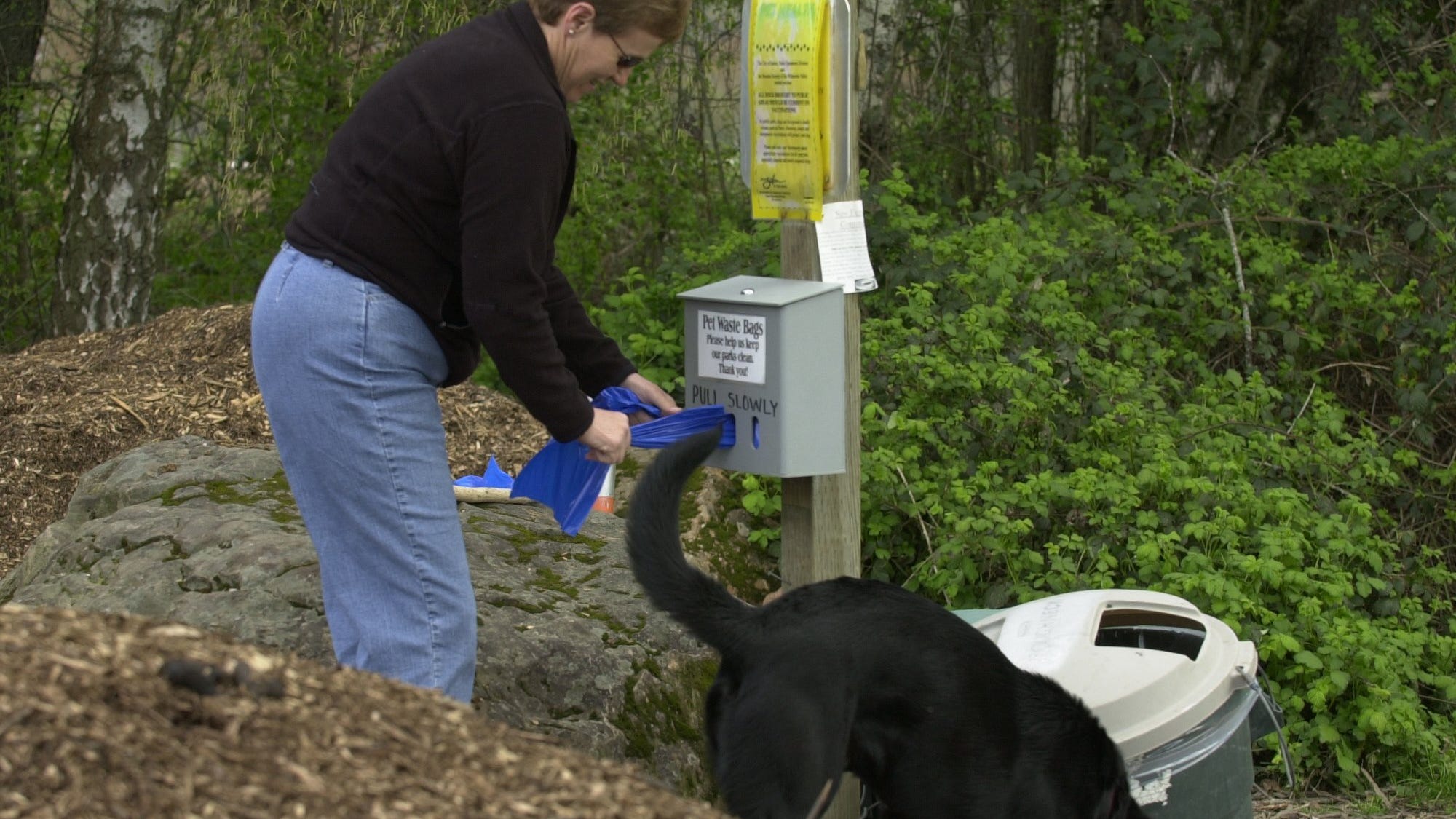 can pregnant woman pick up dog poop